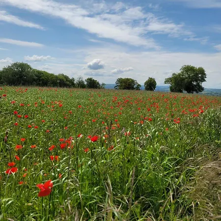 Le Moulin Des Vignes Nyaraló Clairvaux-d'Aveyron