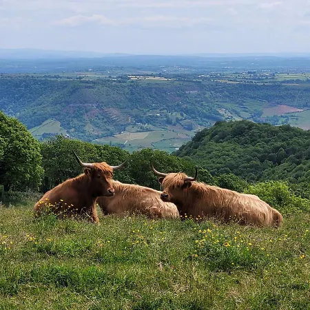 Nyaraló Le Moulin Des Vignes Clairvaux-d'Aveyron