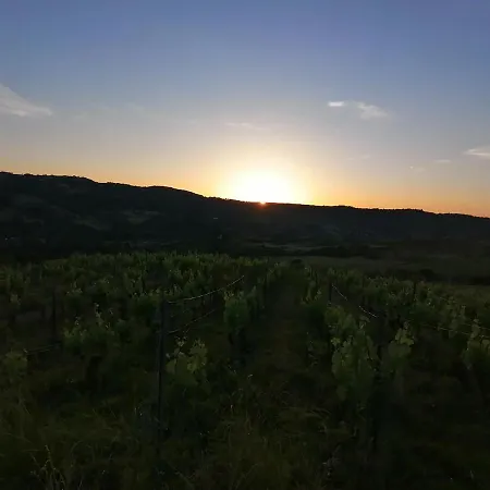 Vakantiehuis Le Moulin Des Vignes Clairvaux-d'Aveyron